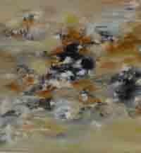 sable